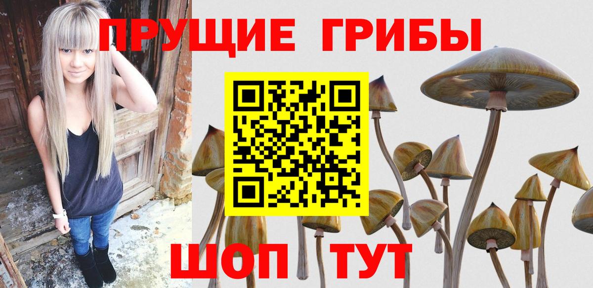 Псилоцибиновые грибы ЛСД  Вход с VPN  Псилоцибиновые грибы GOLDEN TEACHER  Дмитров 